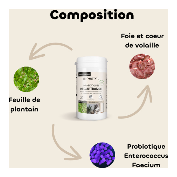 Probiotique chat et chaton Regul Transit Biovetol comprimés