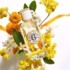 Roger et Gallet eau parfumée bienfaisante