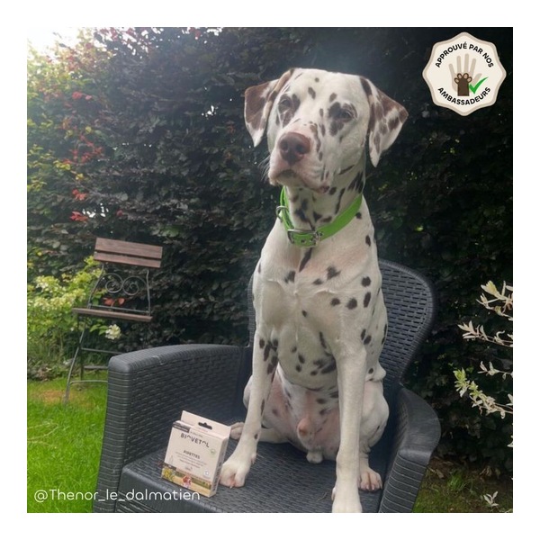 Pipette antiparasitaire chien Biovetol Bio