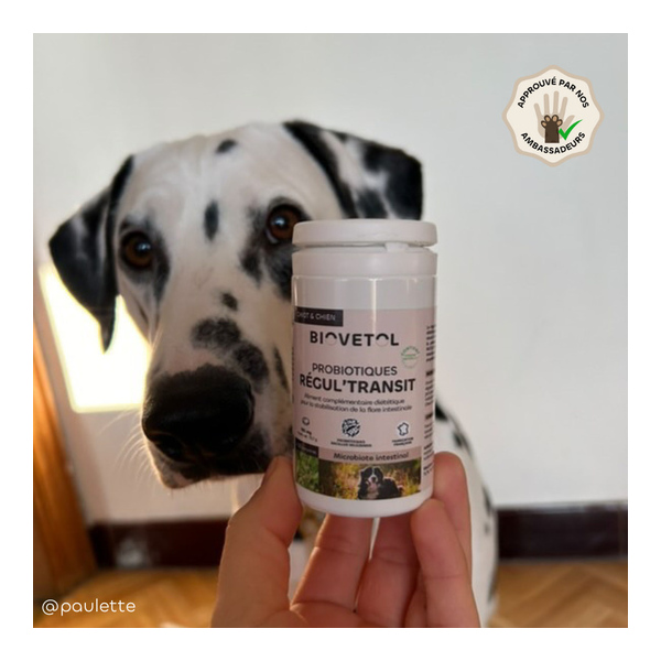 Probiotique chien et chiot Biovetol Régul Transit comprimés