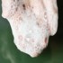 Endro Soin visage lavant purifiant bio
