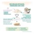 Babynat Maternité Pré Conception gélules + capsules