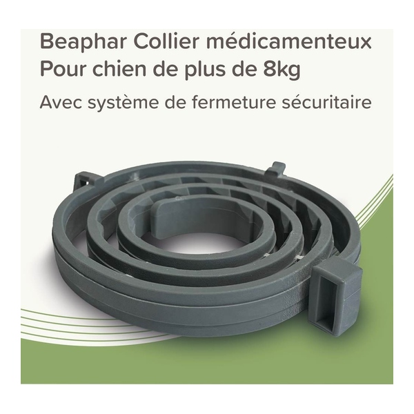 Collier anti puce chien Beaphar