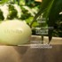 Mevita l'Or végétal Savon exfoliant lissant bio