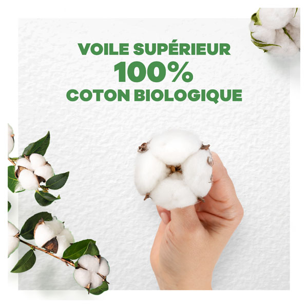 Always Cotton Protection Serviette Hygiénique Nuit Bio