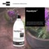 NHCO Aqualyse solution buvable