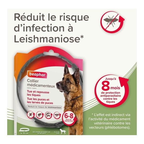 Collier anti puce chien Beaphar