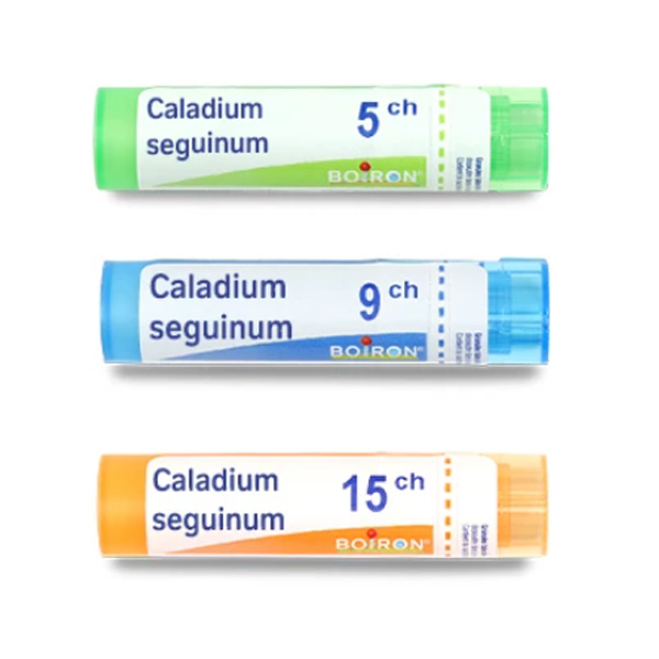 Boiron Caladium seguinum granules