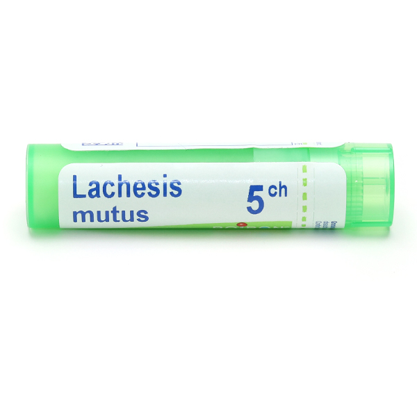 Boiron Lachesis mutus granules