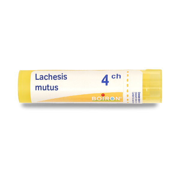 Boiron Lachesis mutus granules