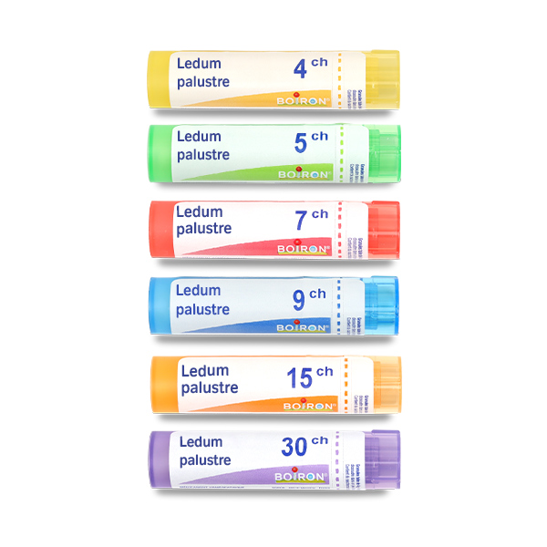 Boiron Ledum palustre granules