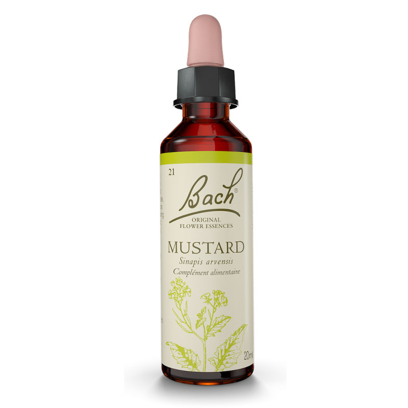 Fleurs de Bach Mustard n°21