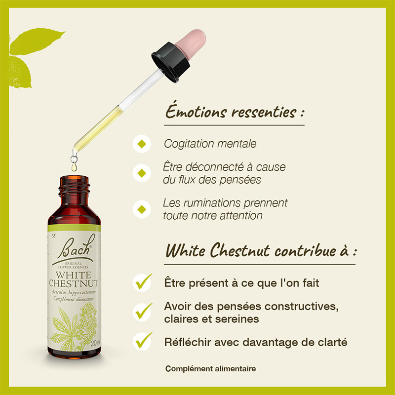 Fleurs de Bach White chestnut n°35