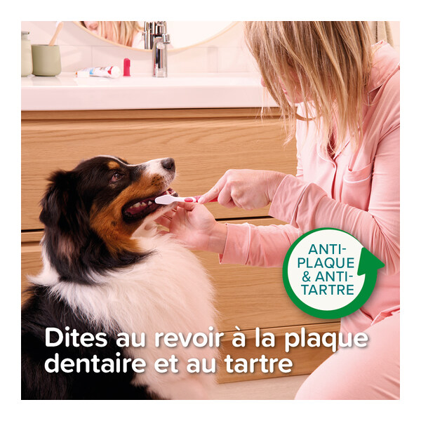 Beaphar Dentifrice chien chat Haleine fraiche