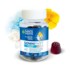 Santé Verte Somniphyt Total Nuit 1,9 mg gummies