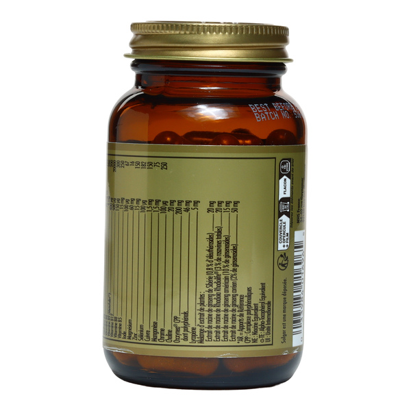 Solgar Multivitamine Homme