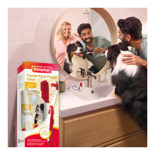 Beaphar Kit dentaire chiot