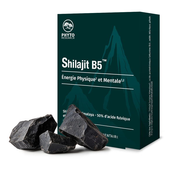 Shilajit B5 gélules