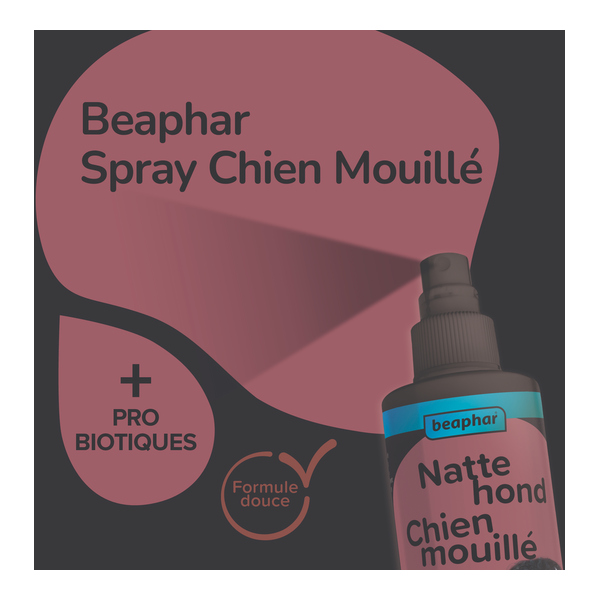 Beaphar Spray Chien mouillé