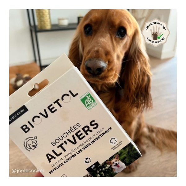 Biovetol bouchées Alt Vers Chien bio