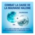 CB12 bain de bouche