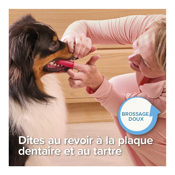 Beaphar Brosse à dents doigtier Chien et Chat