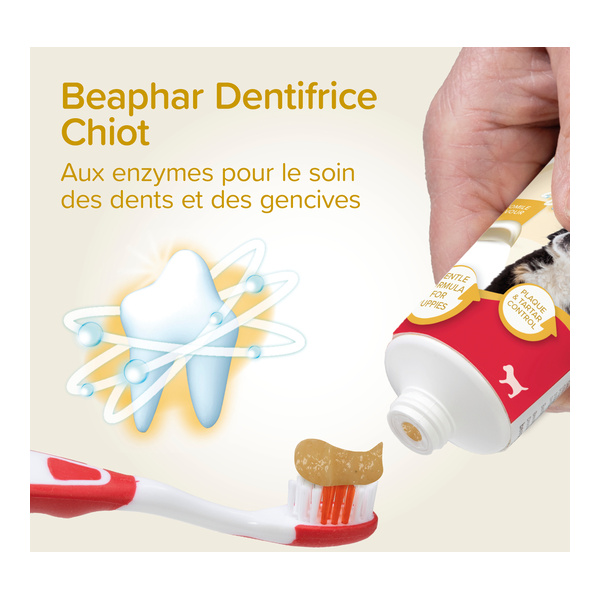 Beaphar Kit dentaire chiot