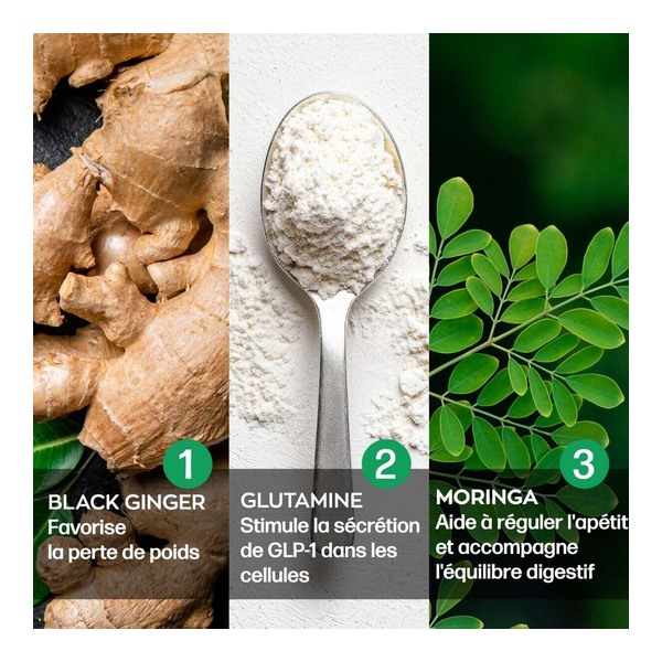 glp 1 moringa avis Granions Complexe Booster GLP 1 comprimés