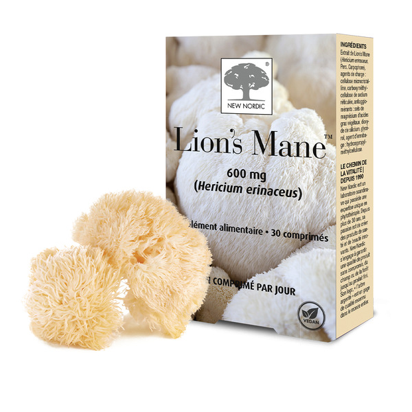 Lion's Mane comprimés