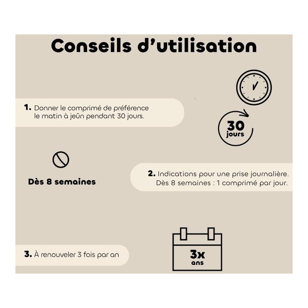 Probiotique chat et chaton Regul Transit Biovetol comprimés