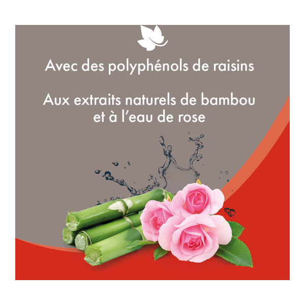 Beaphar Shampooing sec pour chat