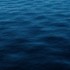 Endro sérum hydratant bio