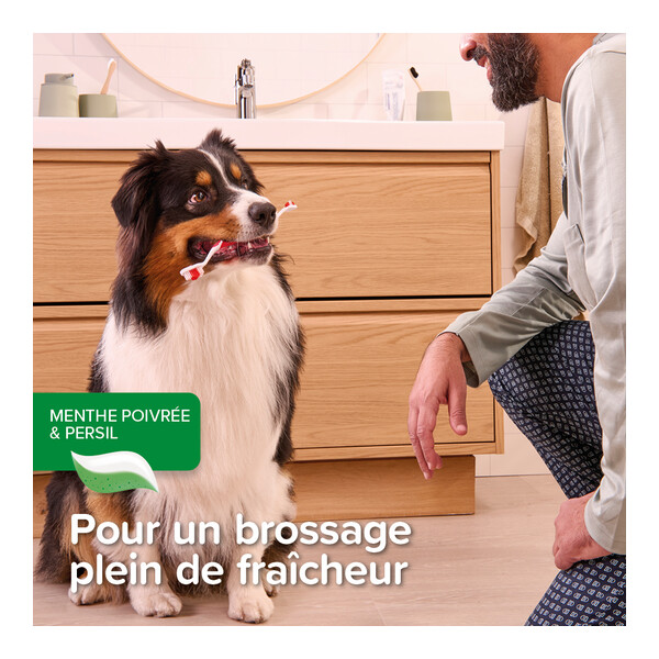 Beaphar Dentifrice chien chat Haleine fraiche