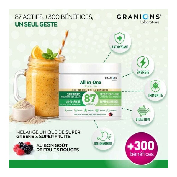 Granions All in One Green Mix Bien être et longévité poudre