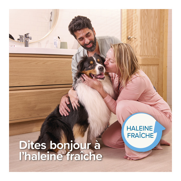 Beaphar Brosse à dents doigtier Chien et Chat