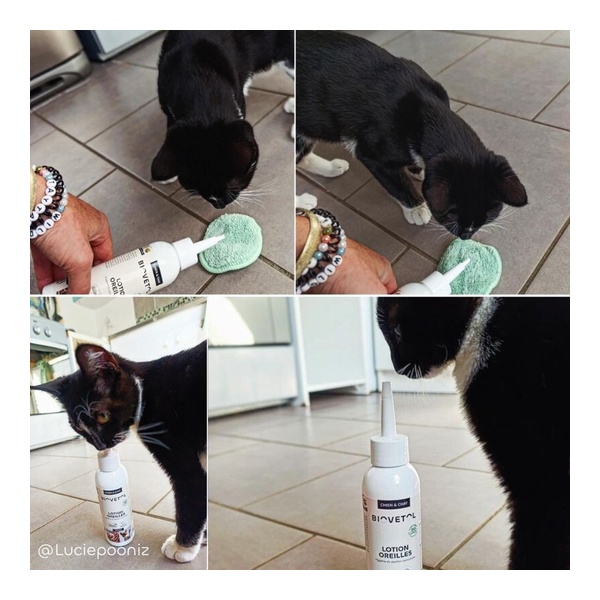Biovetol Lotion oreilles chien et chat
