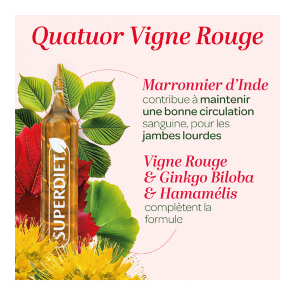 Super Diet Quatuor Circulation Bio ampoules
