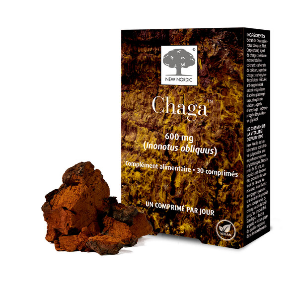 Chaga 600 mg comprimés