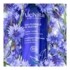 Melvita eau florale de bleuet bio