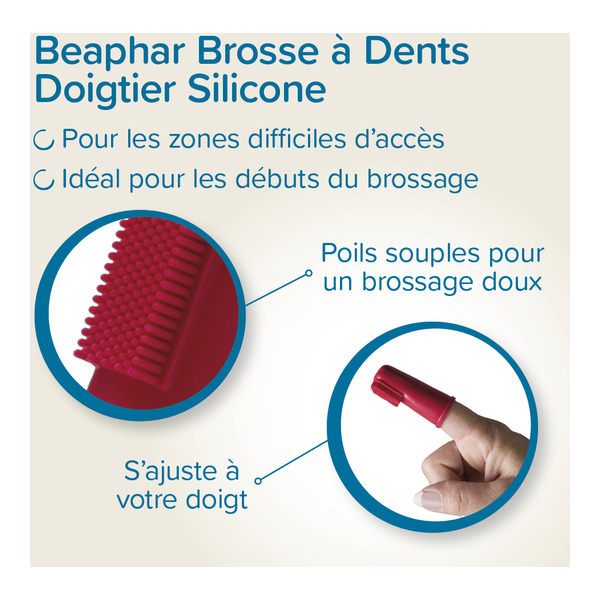 Beaphar Brosse à dents doigtier Chien et Chat