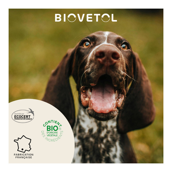 Pipette antiparasitaire chien Biovetol Bio