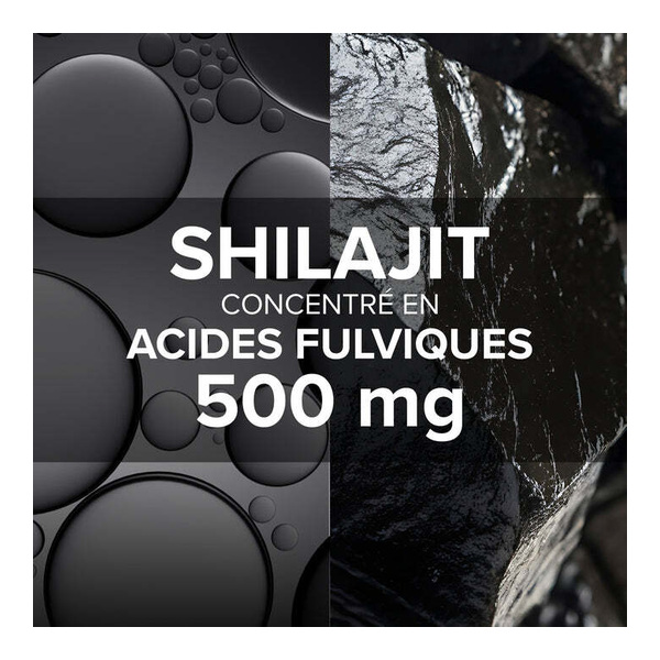 Arkogélules Shilajit gélules