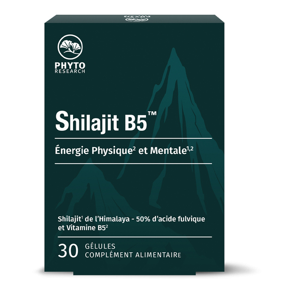 Shilajit B5 gélules