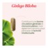 Super Diet Ginkgo Biloba Bio gélules