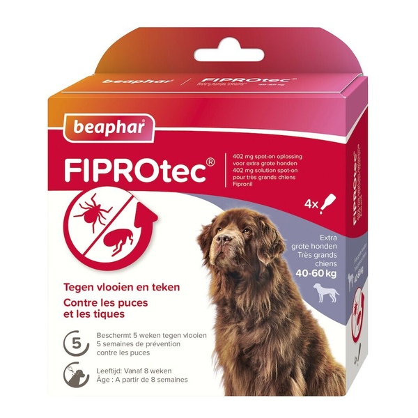 Beaphar Fiprotec Chien pipettes anti puce
