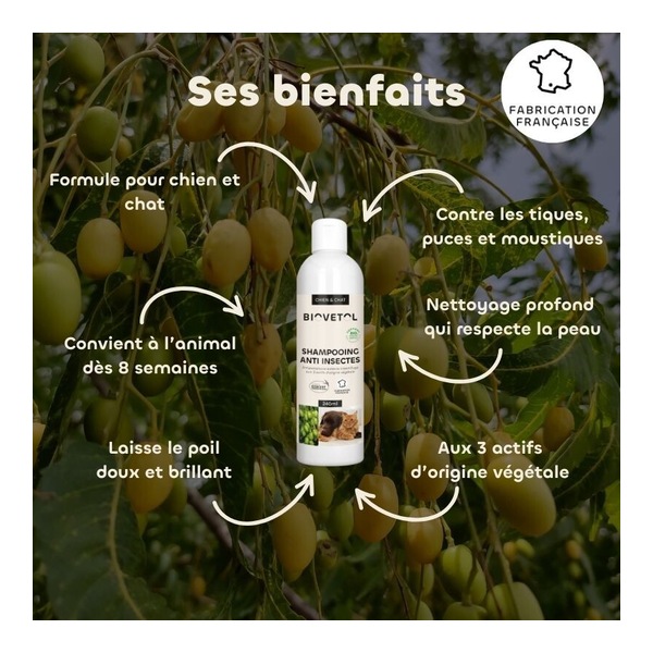 Shampooing anti insectes chien et chat Biovetol