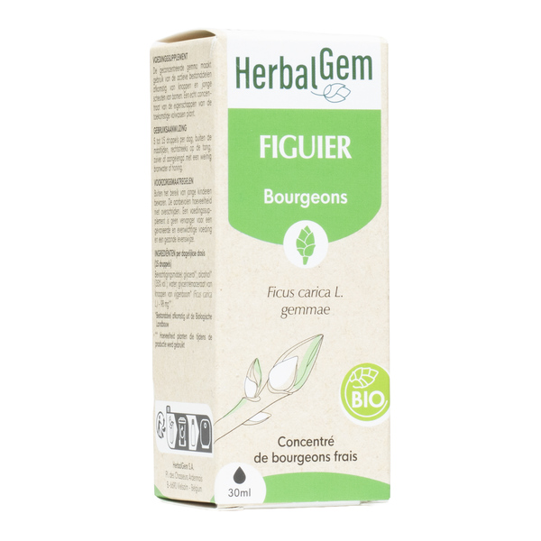 HerbalGem Figuier Macérat concentré de bourgeons frais bio