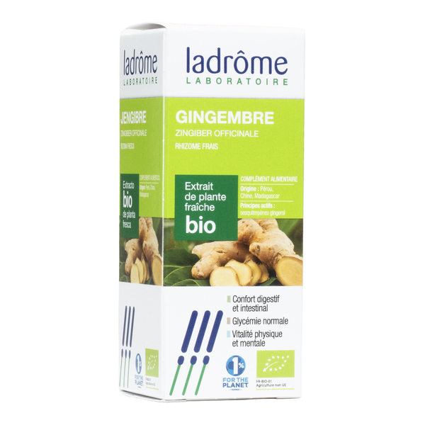Ladrome Extrait de plante Bio Gingembre
