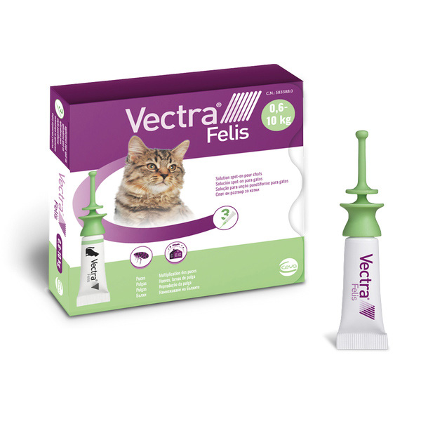 Pipettes Vectra Felis chat spot-on
