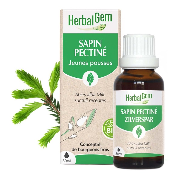Extrait Herbalgem de bourgeons Sapin pectiné bio